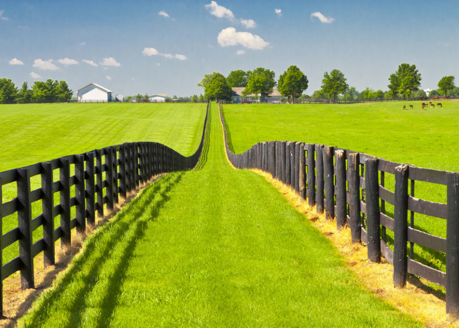 Roberts Real Estate Ocala Real Estate The Villages Real Estate